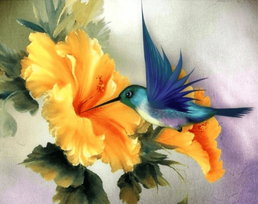 Diamantmalerei Kolibri - SEOS Shop ®