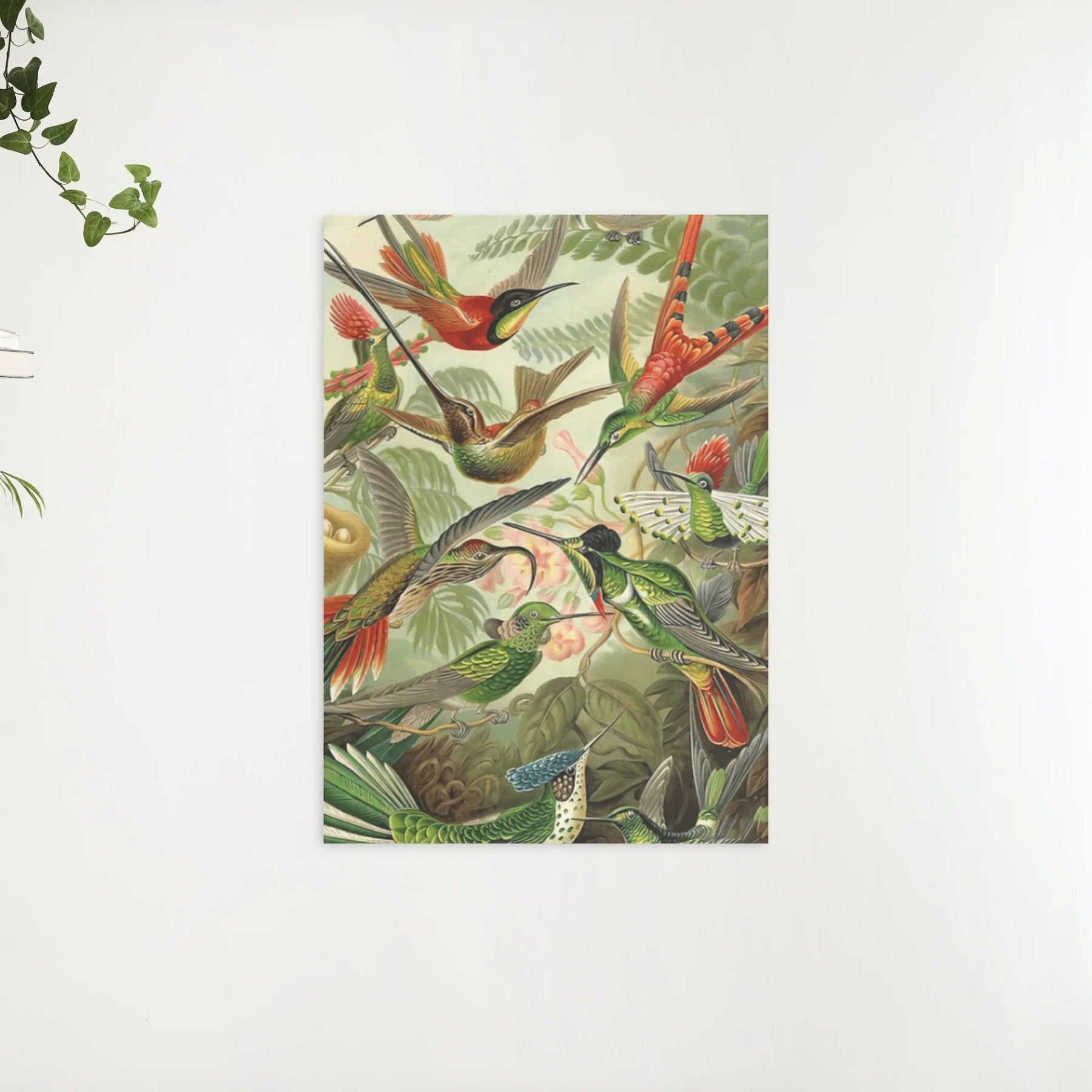 Diamantmalerei Kolibris - SEOS Shop ®