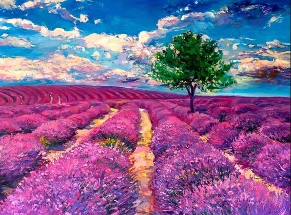 Diamantmalerei - Lavendelfelder der Provence - SEOS Shop ®