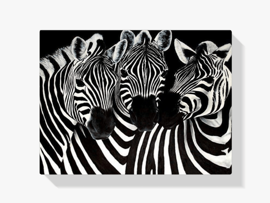 Diamantmalerei Süße Zebras – SEOS Shop ®