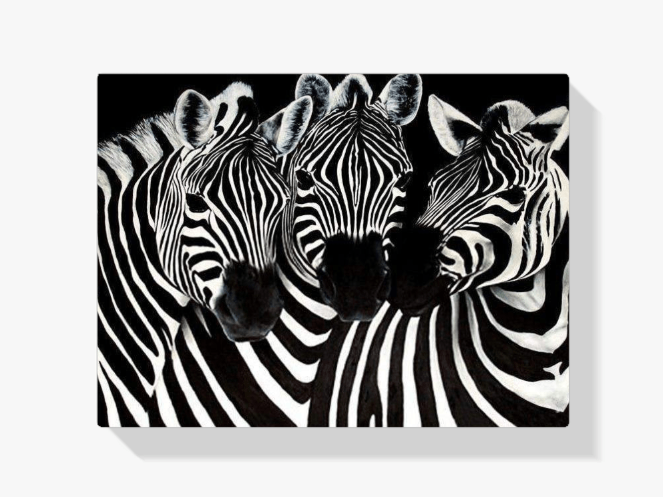 Diamantmalerei Süße Zebras – SEOS Shop ®