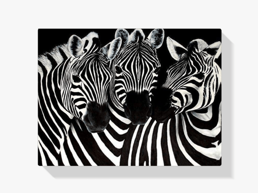 Diamantmalerei Süße Zebras – SEOS Shop ®