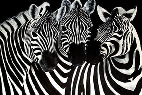 Diamantmalerei Süße Zebras – SEOS Shop ®