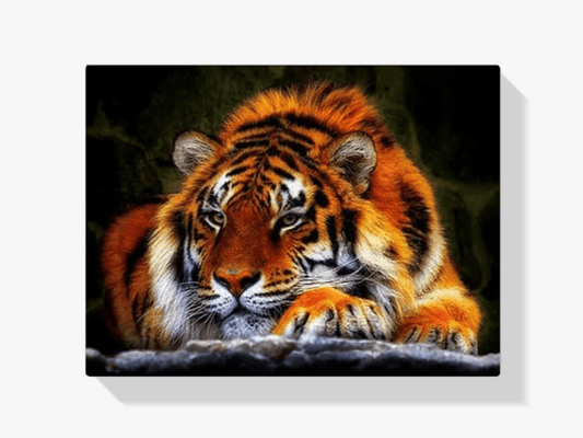 Diamond Painting Liegender Tiger - SEOS Shop ®