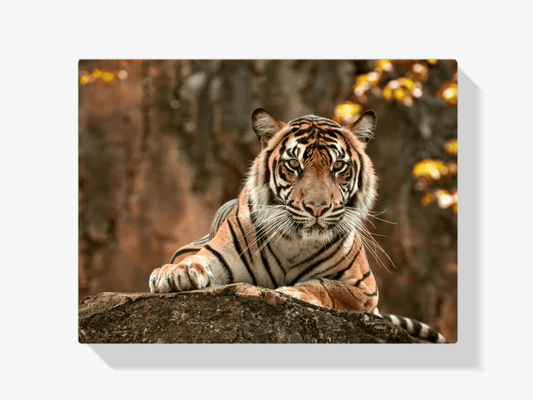 Diamond Painting Liegender Tiger - SEOS Shop ®
