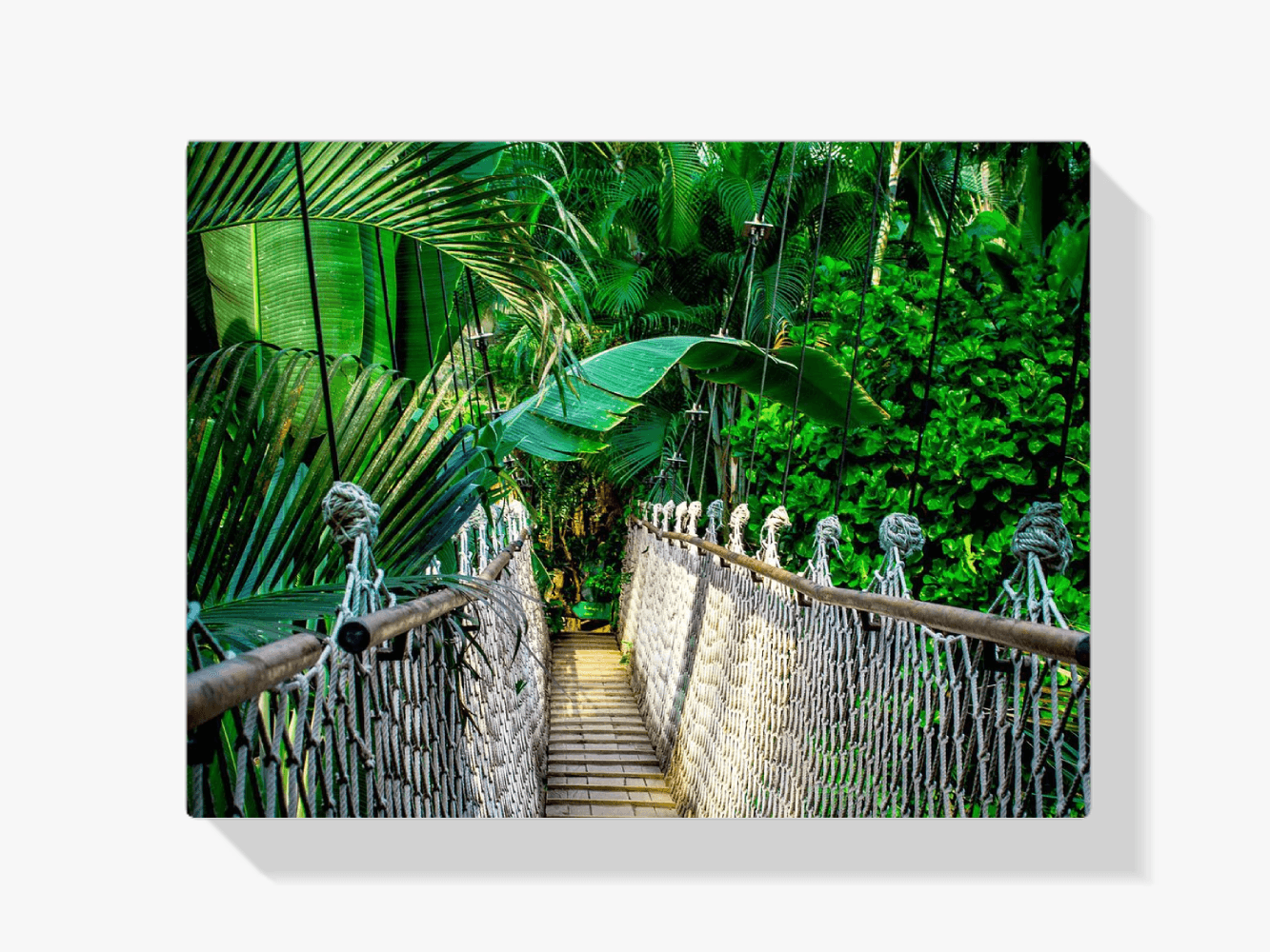 Diamantmalerei Dschungelbrücke – SEOS Shop ® 