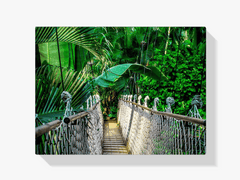 Diamantmalerei Dschungelbrücke – SEOS Shop ® 
