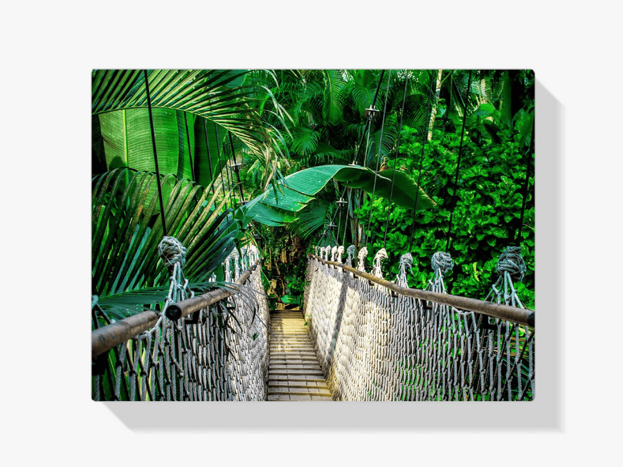 Diamantmalerei Dschungelbrücke – SEOS Shop ® 