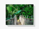 Diamantmalerei Dschungelbrücke – SEOS Shop ® 