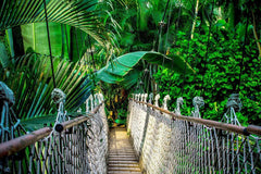 Diamantmalerei Dschungelbrücke – SEOS Shop ® 