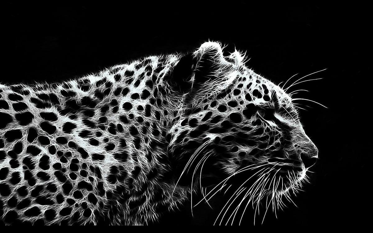 Diamantmalerei Leopard Schwarz und Weiß - SEOS Shop ®