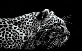 Diamantmalerei Leopard Schwarz und Weiß - SEOS Shop ®