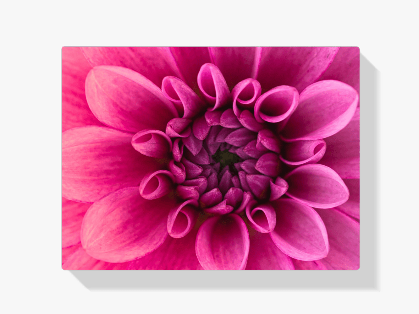 Diamond Painting Makroaufnahme Blume - SEOS Shop ®
