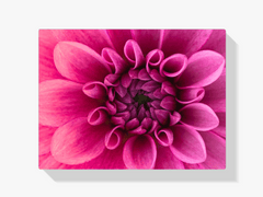 Diamond Painting Makroaufnahme Blume - SEOS Shop ®