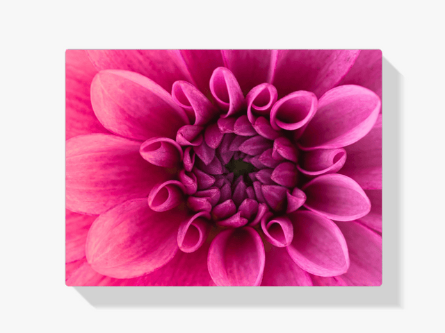 Diamond Painting Makroaufnahme Blume - SEOS Shop ®