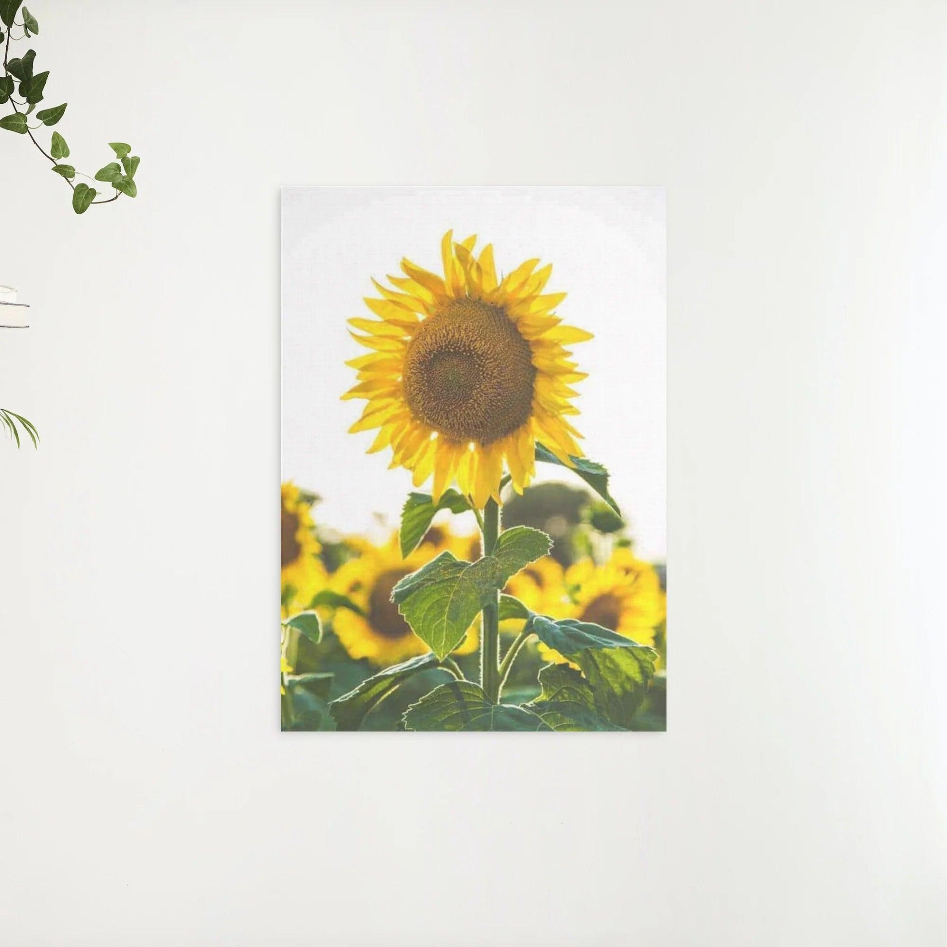 Diamantmalerei Schöne Sonnenblume - SEOS Shop ®