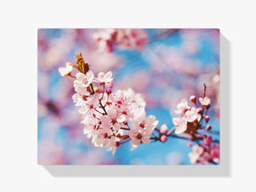 Diamantmalerei Schöne Blüte - SEOS Shop ®