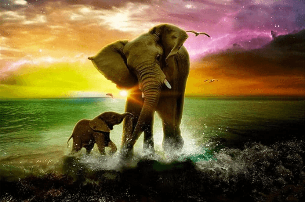 Diamantmalerei Elefant mit Kalb - SEOS Shop®