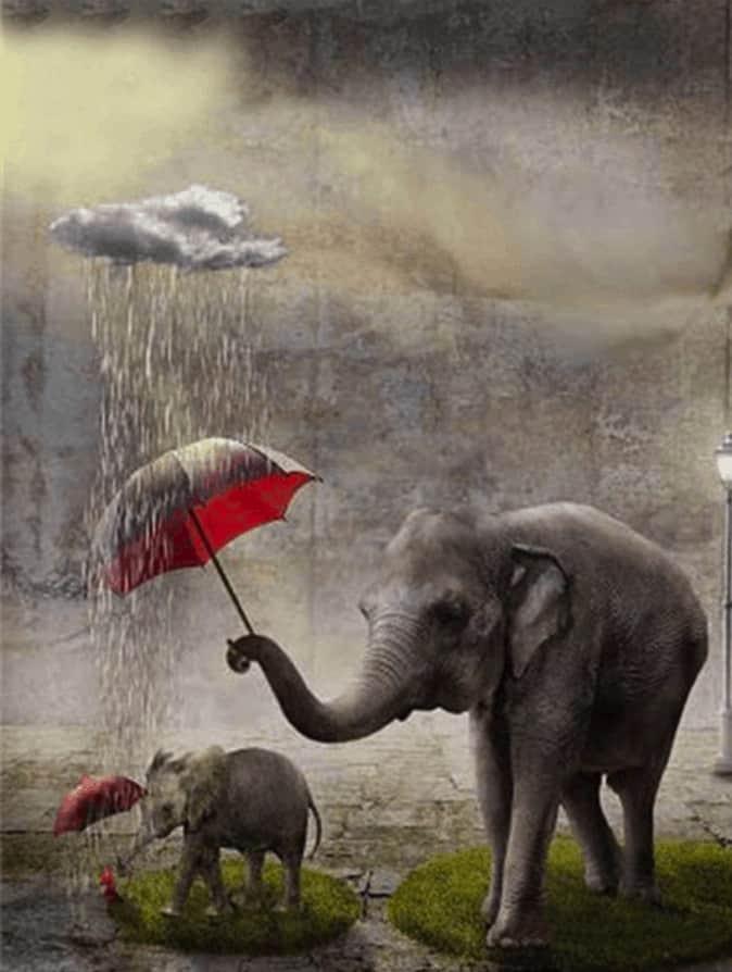 Diamantmalerei Elefant mit rotem Regenschirm - SEOS Shop ®