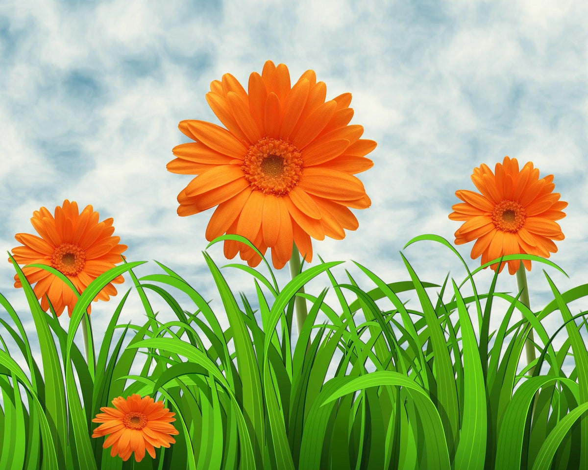 Diamantmalerei Orange Gänseblümchen - SEOS Shop ®
