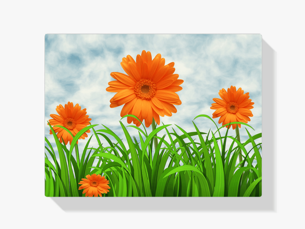 Diamantmalerei Orange Gänseblümchen - SEOS Shop ®