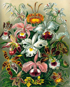 Diamantmalerei Orchidee - SEOS Shop ®