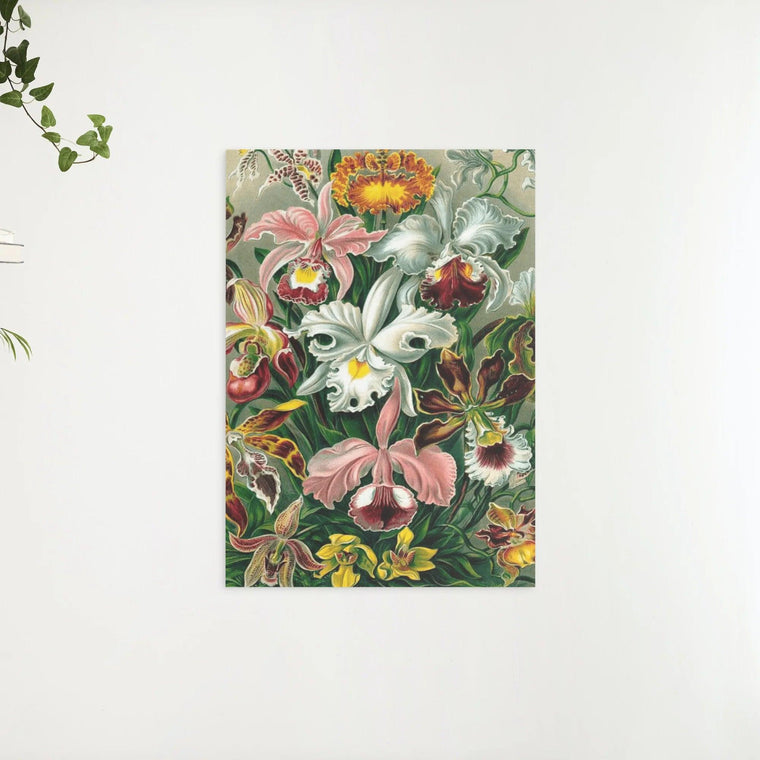 Diamantmalerei Orchidee - SEOS Shop ®