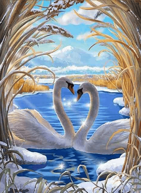Diamond Painting Schwanenpaar - SEOS Shop ®