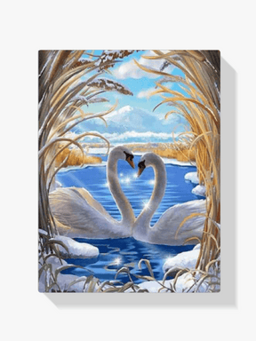 Diamond Painting Schwanenpaar - SEOS Shop ®