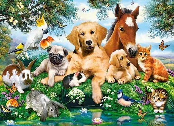 Diamantmalerei Pferd Hund Katze Papagei Vögel - SEOS Shop ®