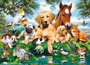 Diamantmalerei Pferd Hund Katze Papagei Vögel - SEOS Shop ®