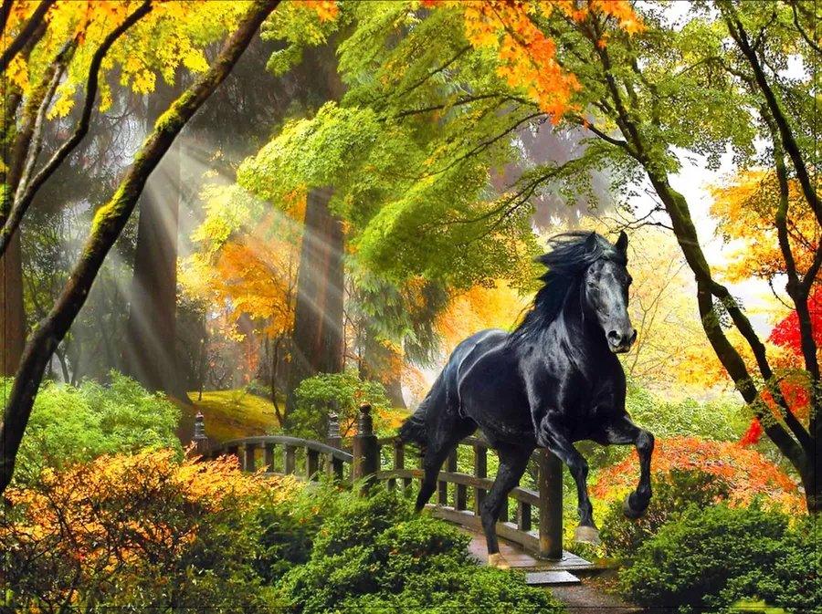 Diamond Painting Pferd im Wald - SEOS Shop ®