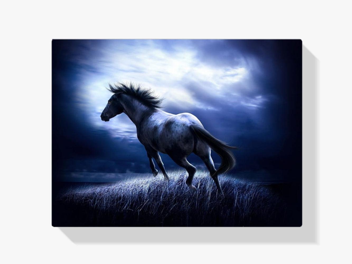 Diamantmalerei Pferd im Dunkeln - SEOS Shop ®