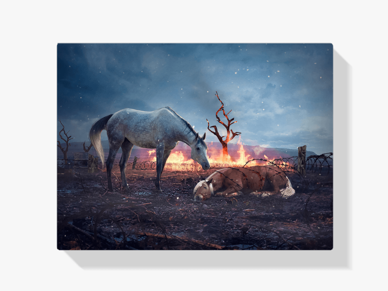 Diamond Painting Ruhende Pferde - SEOS Shop ®