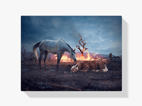 Diamond Painting Ruhende Pferde - SEOS Shop ®