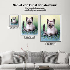 Diamond Painting Paket Katze - SEOS Shop ®