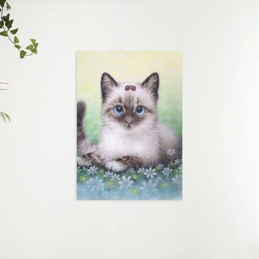 Diamond Painting Paket Katze - SEOS Shop ®
