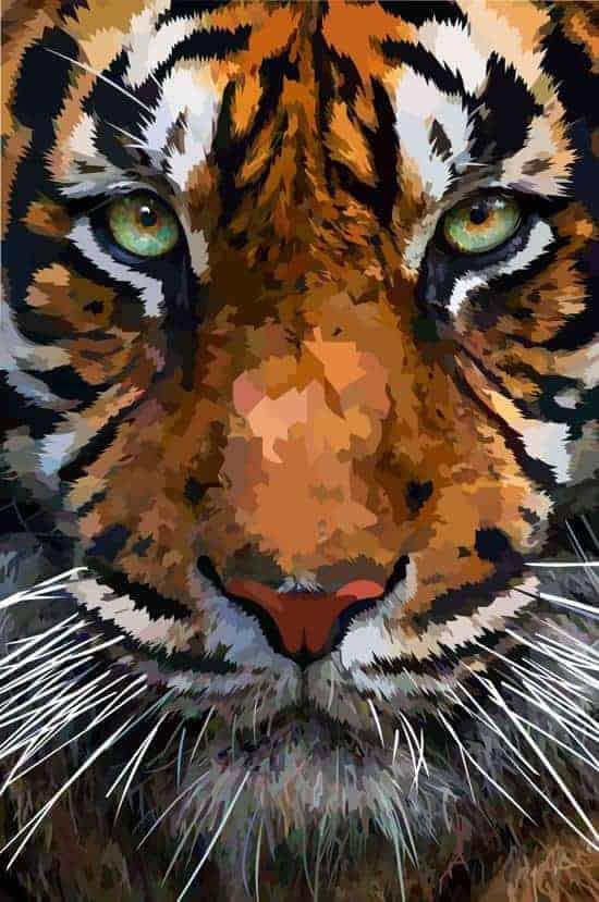 Diamond Painting Set Schöner Tigerkopf - SEOS Shop ®