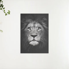 Diamond Painting Paket Schwarz Weißer Löwe - SEOS Shop ®