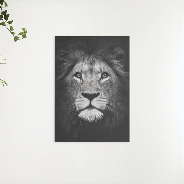 Diamond Painting Paket Schwarz Weißer Löwe - SEOS Shop ®