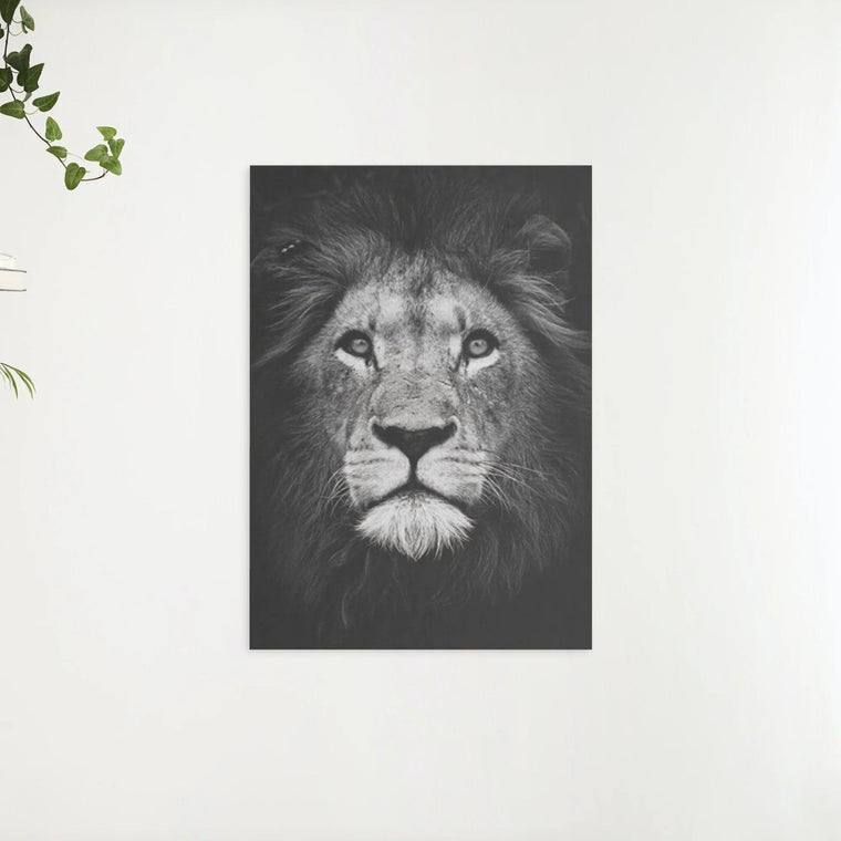 Diamond Painting Paket Schwarz Weißer Löwe - SEOS Shop ®