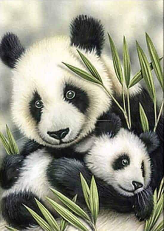 Diamantmalerei Pandas - SEOS Shop ®