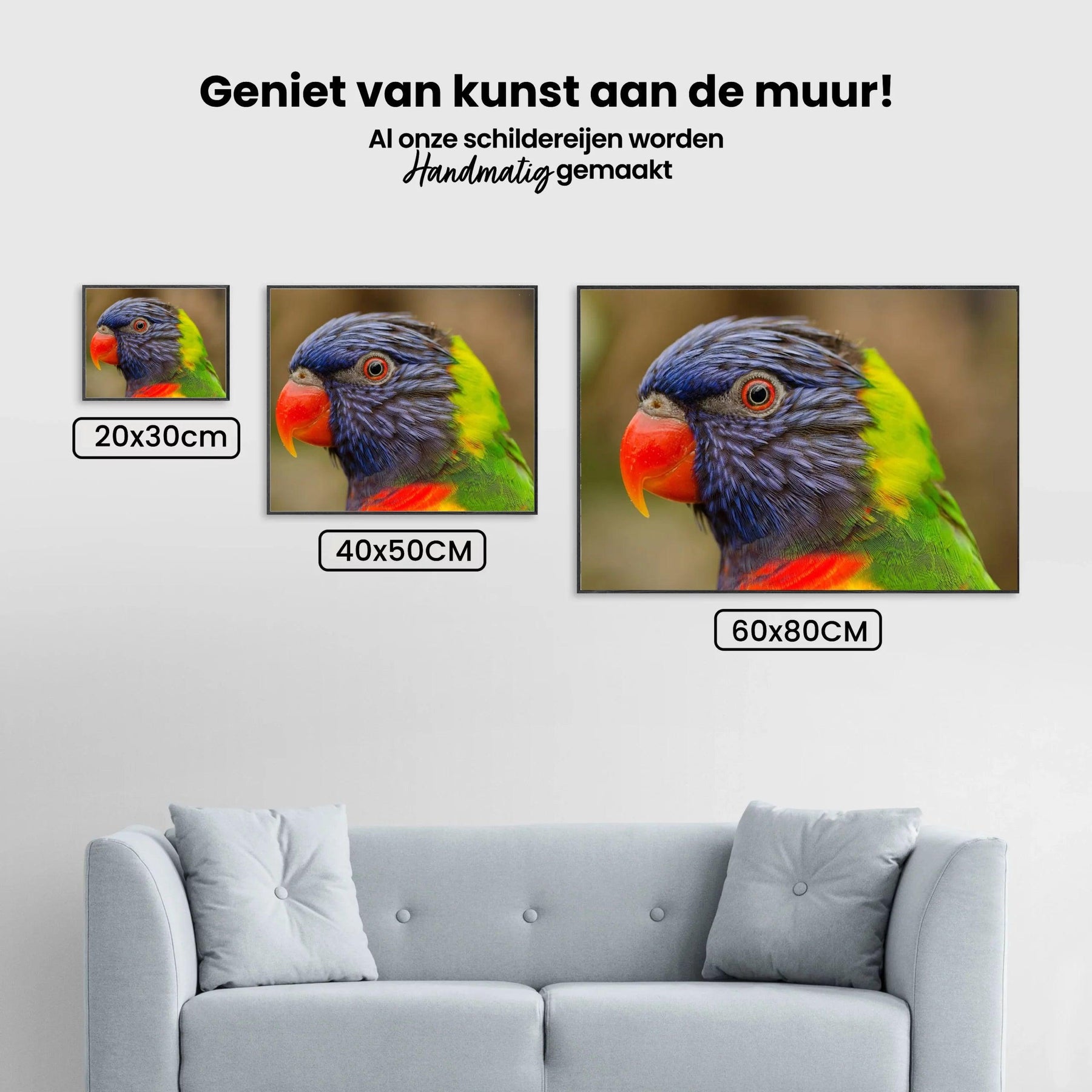 Diamantmalerei Papagei - SEOS Shop ®