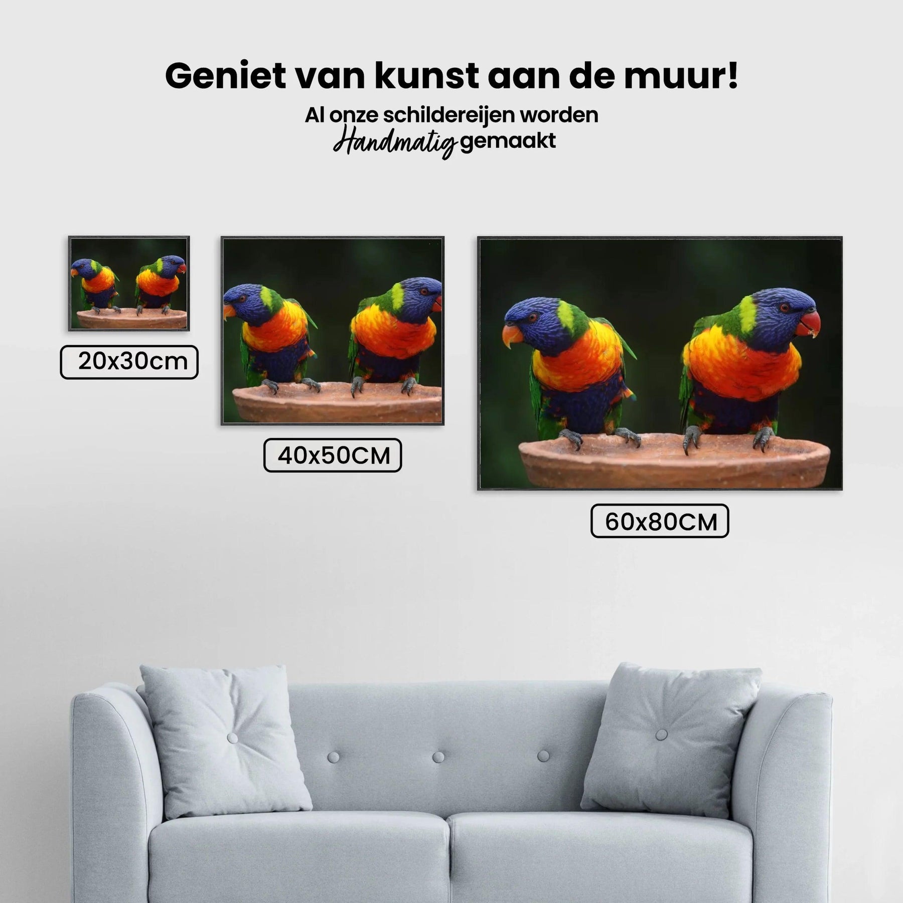 Diamond Painting Papageien - SEOS Shop ®