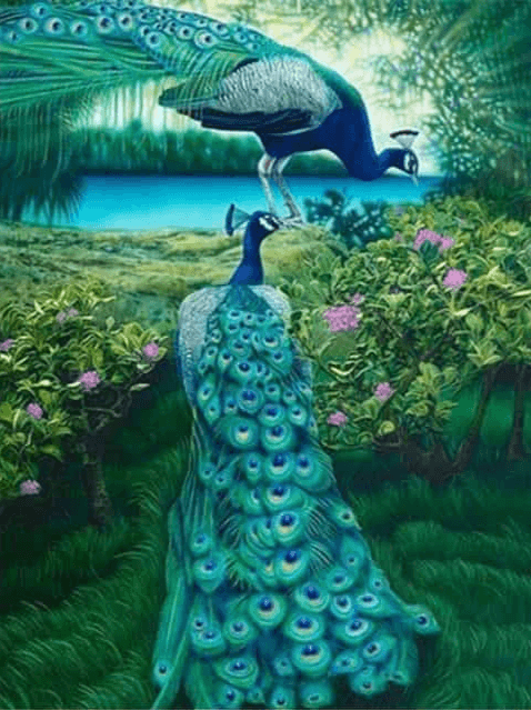 Diamantmalerei Pfau im Dschungel - SEOS Shop ®