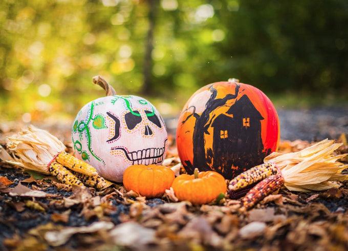 Diamantmalerei Kürbisse Halloween - SEOS Shop ®