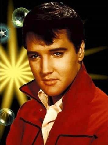 Diamond Painting Portrait Elvis Presley - SEOS Shop ®