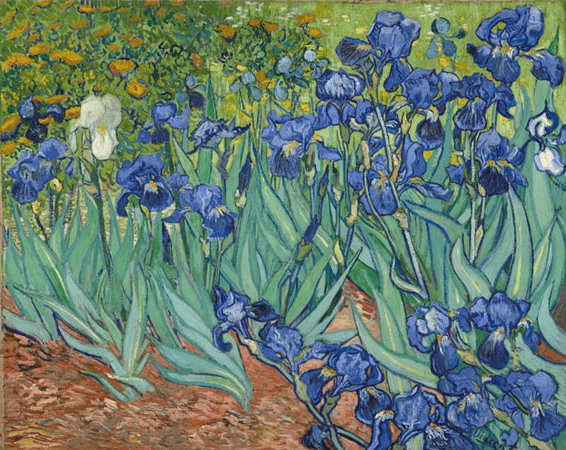Diamantmalerei Schöne Blumen Van Gogh - SEOS Shop ®