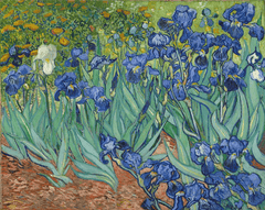 Diamantmalerei Schöne Blumen Van Gogh - SEOS Shop ®