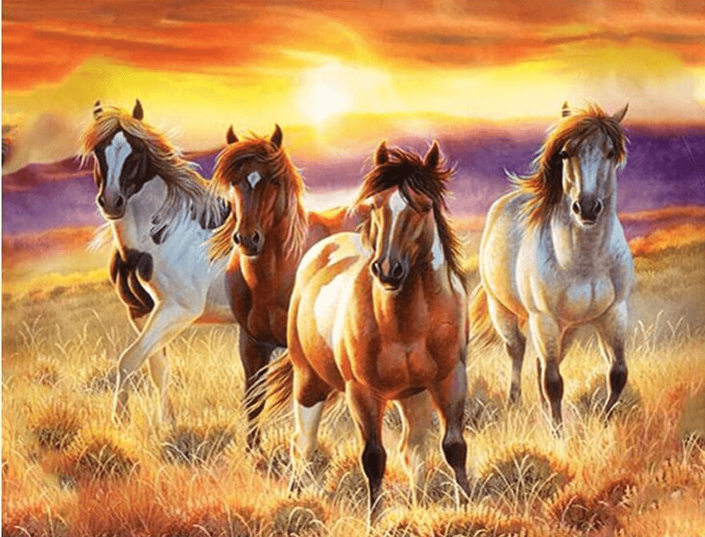 Diamond Painting Wunderschöne Pferde auf einem Feld - SEOS Shop ®